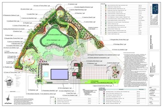 Shrub and plant placement plan created in Pro Contractor Studio